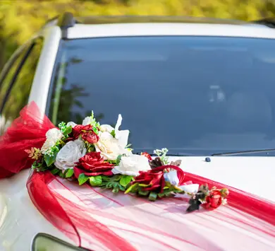 Wedding Transfer Img